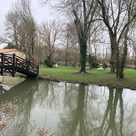 Maison Terrasse Proche Centre Ville Et Ile De Re La Rochelle  Dış mekan fotoğraf